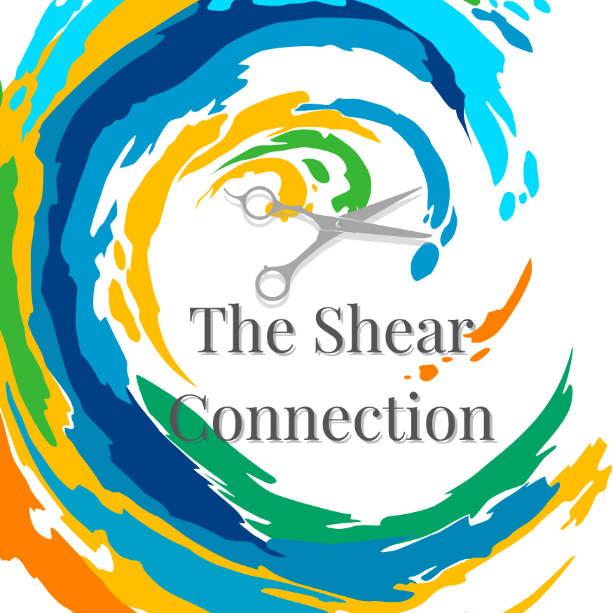 The Shear Connection